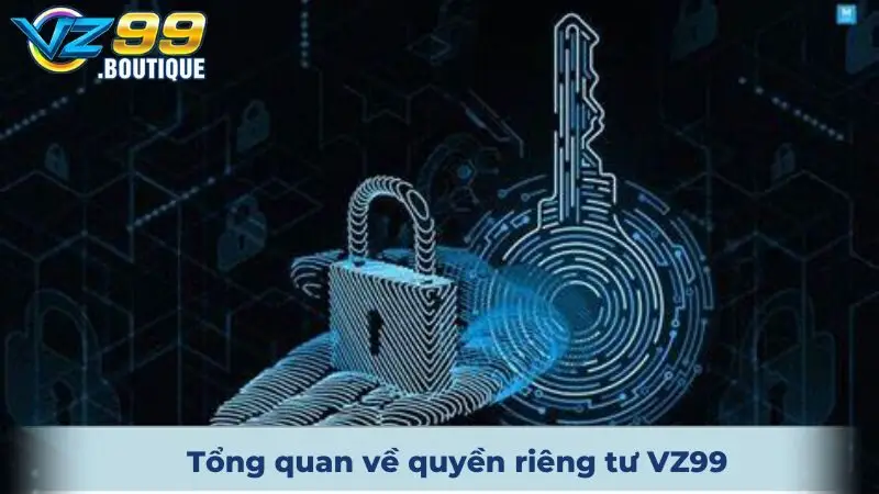 Tổng quan về quyền riêng tư VZ99